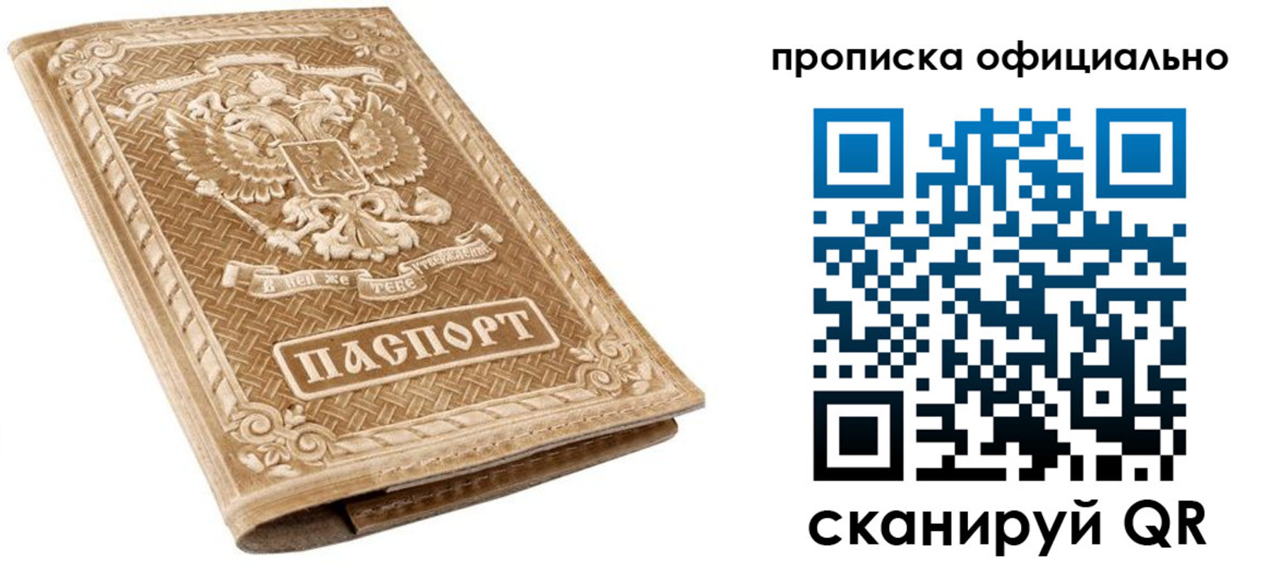 купить прописку в Курской области